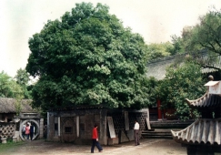 廣州到漢中物流專線，廣州到漢中貨運公司