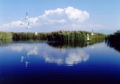 廣州到巴彥淖爾物流專線，廣州到巴彥淖爾運輸公司