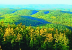 廣州到大興安嶺物流專線，廣州至大興安嶺貨運公司