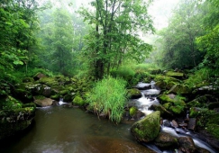 廣州到伊春物流專線，廣州至伊春貨運(yùn)公司