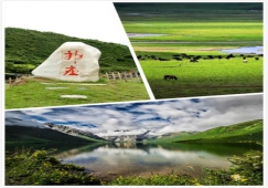 廣州到阿壩物流專線，專業(yè)運(yùn)輸廣州至阿壩貨運(yùn)公司