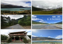 廣州到林芝物流專線，整車零擔配貨的廣州到林芝貨運