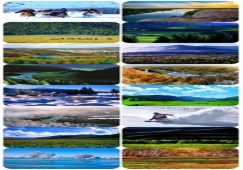 廣州到阿勒泰物流專線，廣州到新疆阿勒泰貨運價格