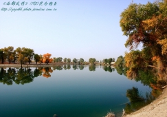 廣州到阿克蘇物流專線，廣州到新疆阿克蘇貨運公司