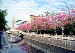 廣州到遂溪物流專(zhuān)線(xiàn)，廣州到遂溪貨運(yùn)公司