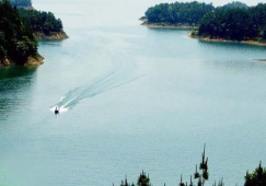 廣州到孝感物流專線，廣州到孝感貨運(yùn)公司