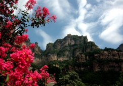 廣州到安陽物流專線，廣州到安陽貨運公司