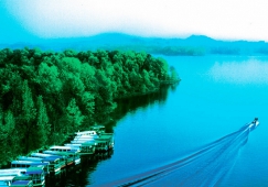 廣州到信陽物流專線，廣州到信陽貨運公司，物流運輸電話