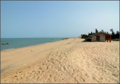 廣州到東方物流專線，廣州到東方貨運公司